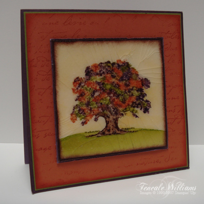lovely-as-a-tree-sp-aut-cards-cracked-glass.jpg